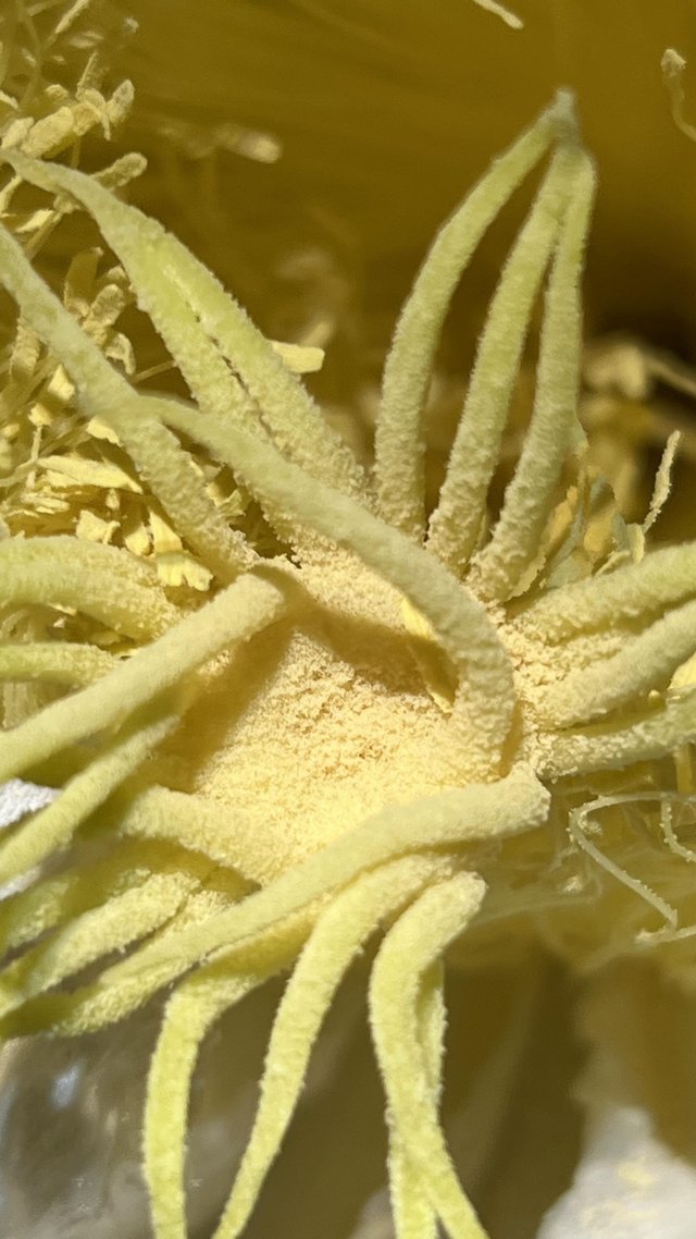P43.JPG