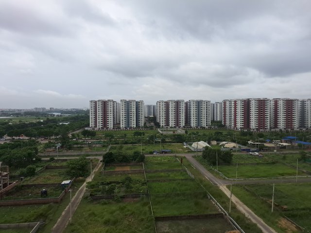 1000211631.jpg