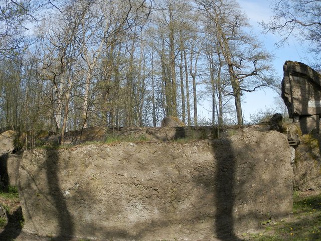P5090055.JPG