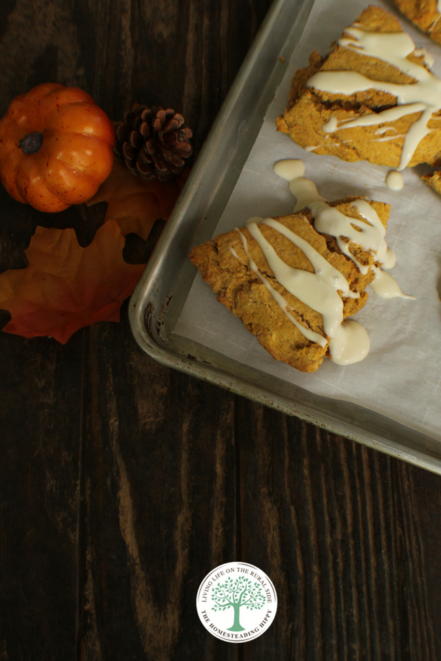 pumpkin scone pin 3.png