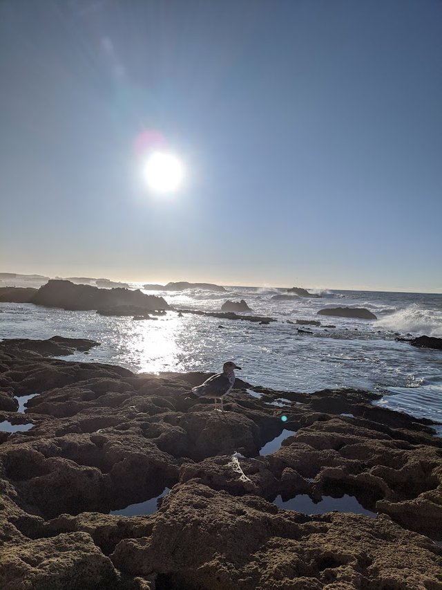 IMG_20191203_172056.jpg