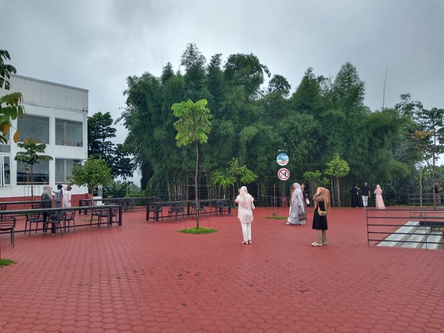 IMG_20250512_151658.jpg