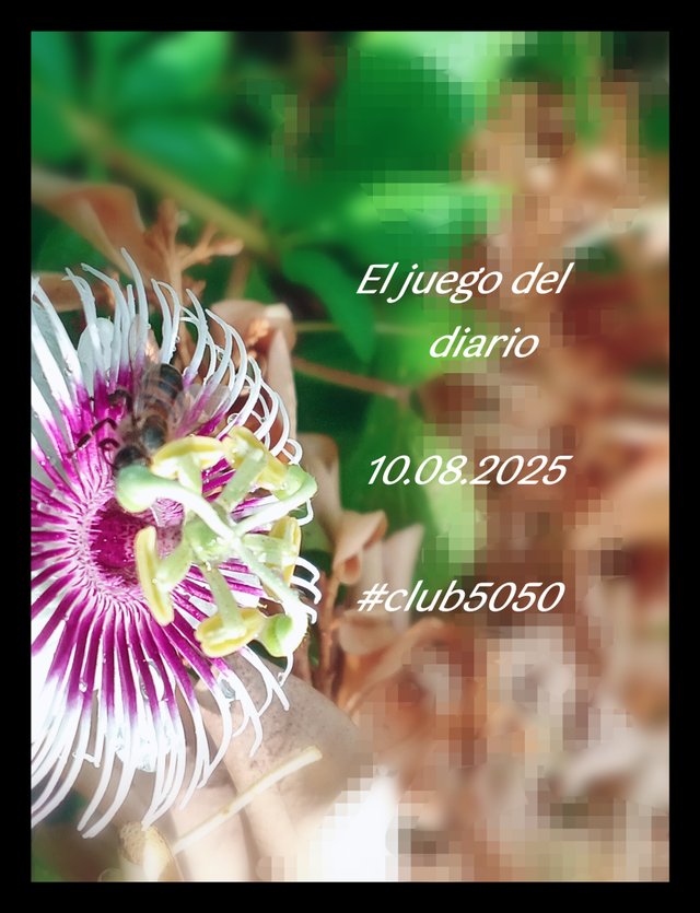 1000532734.jpg