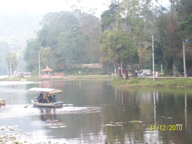 Kodai kanal (21).JPG