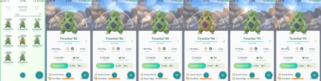 TyranitarCollection.jpg