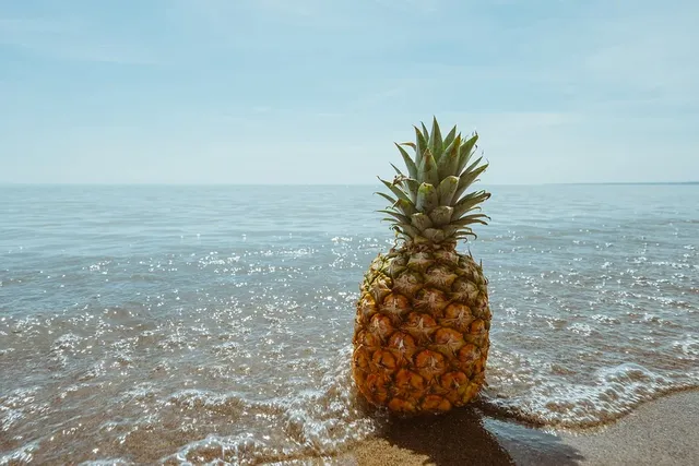 beach-1834329_960_720 Ananas.webp