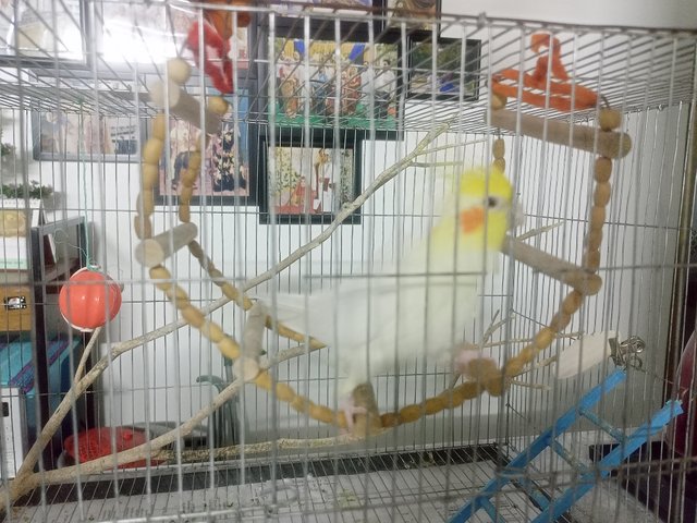 IMG20250606192947.jp