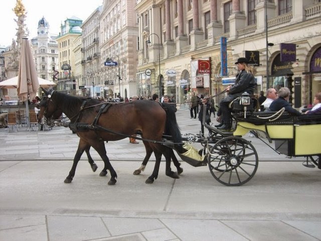 vienna 3.jpg