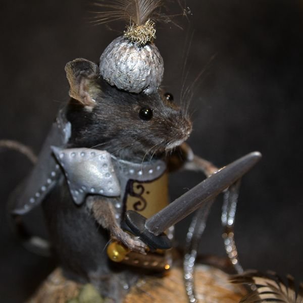 bbb90ee9652c3462747658c57b2bae7d--taxidermy-the-battle.jpg