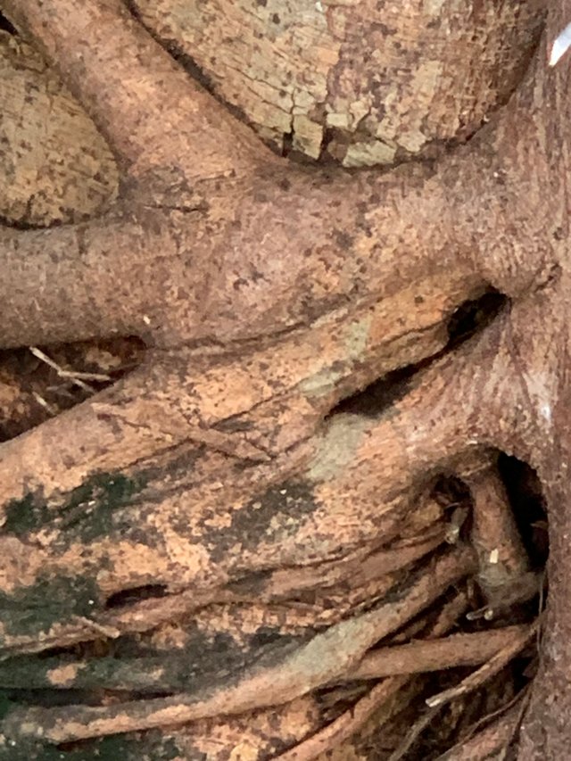 nature101.jpg