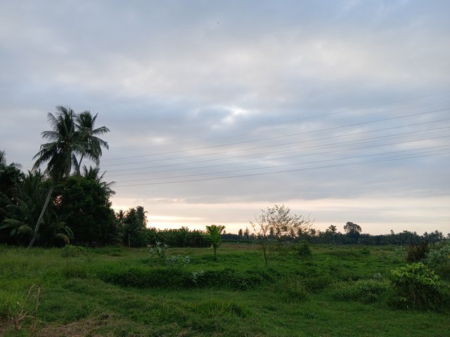 1000019133.jpg