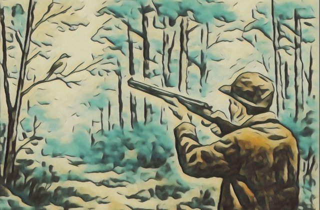 새1.jpg