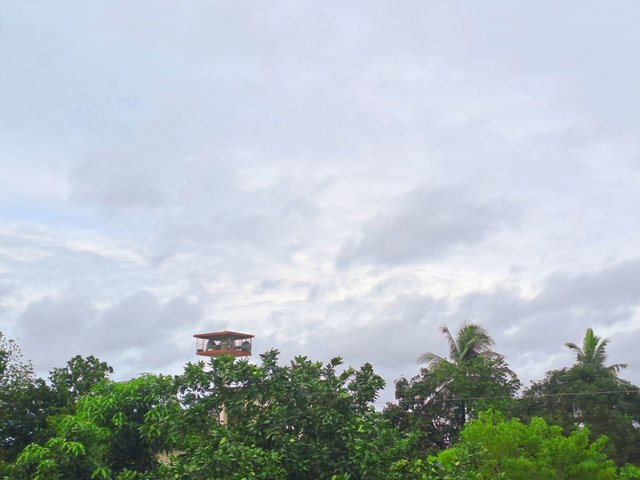 20250530_170712.jpg