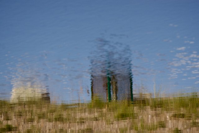 DSC01517.jpeg