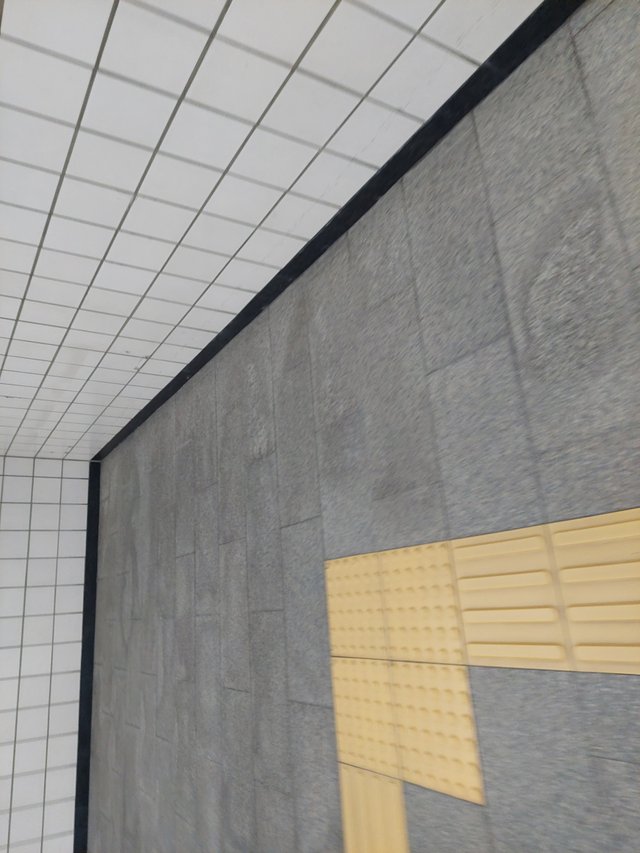 20250801_174721.jpg