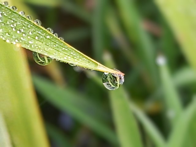 20250416_063719~2.jpg