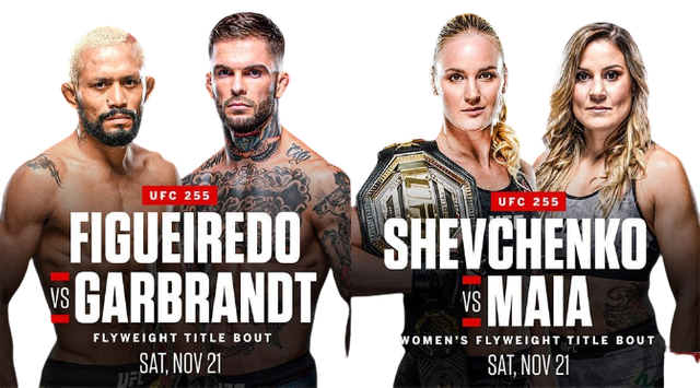 UFC_255_Live_Stream-removebg-preview.png