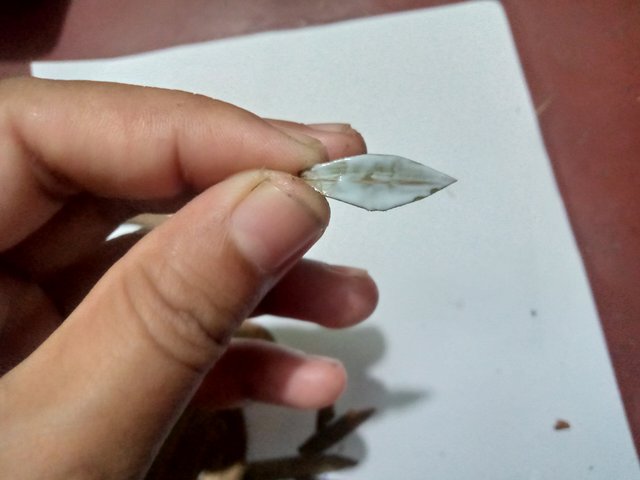 IMG20250814161549.jpg