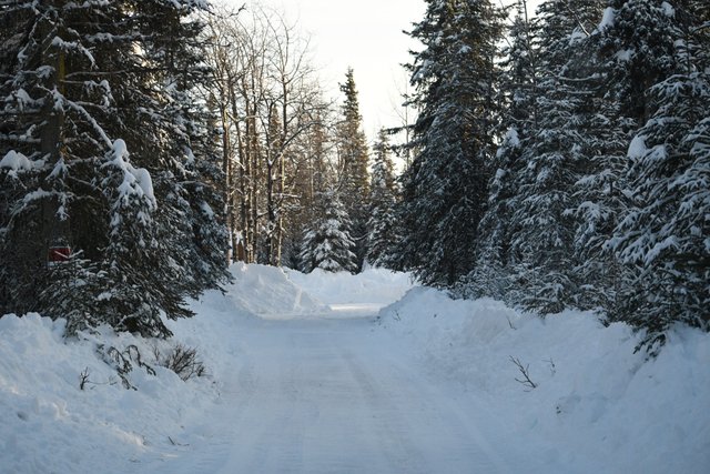 002 driveway view 1.jpg