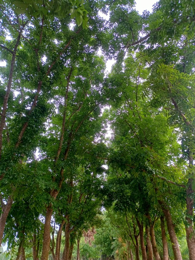 IMG20250506172812.jpg