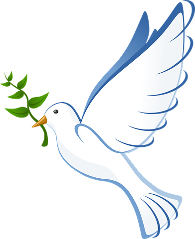dove-41260__480.png