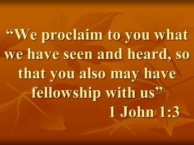 Believe in Jesus. We proclaim to you what we have seen and heard, so that you also may have fellowship with us.jpg