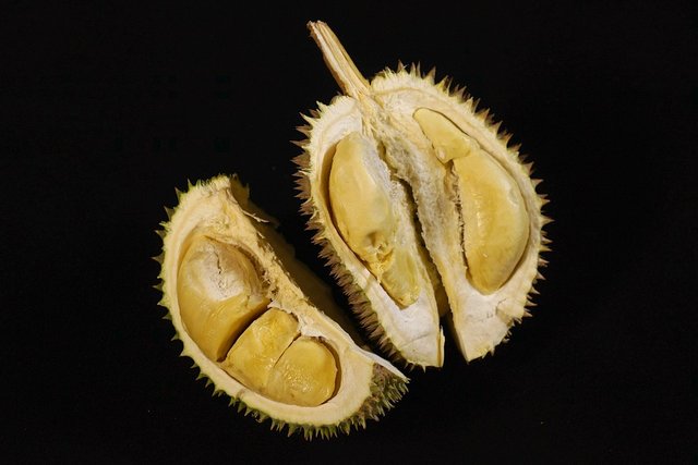 durian-fruit-2786331_960_720.jpg