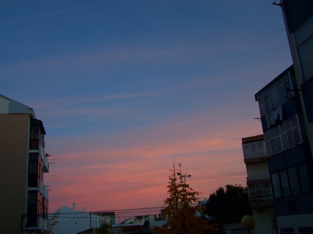 100_2096 2212 steemit.JPG