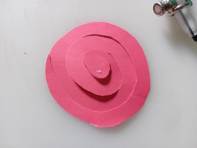 1000038555.jpg