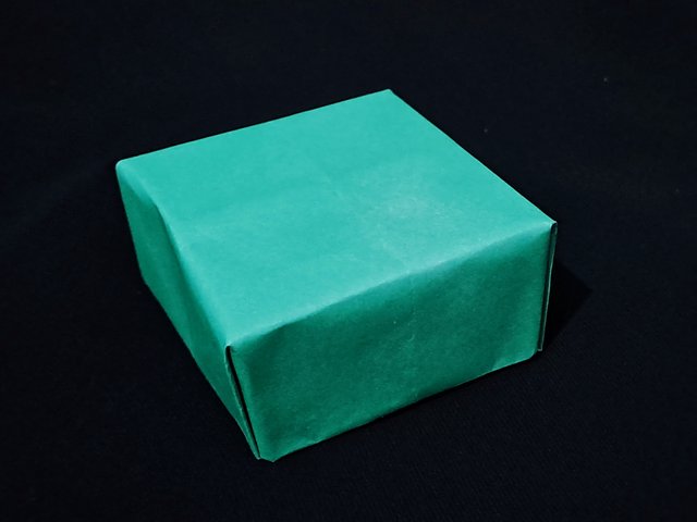 20240927_200446.jpg