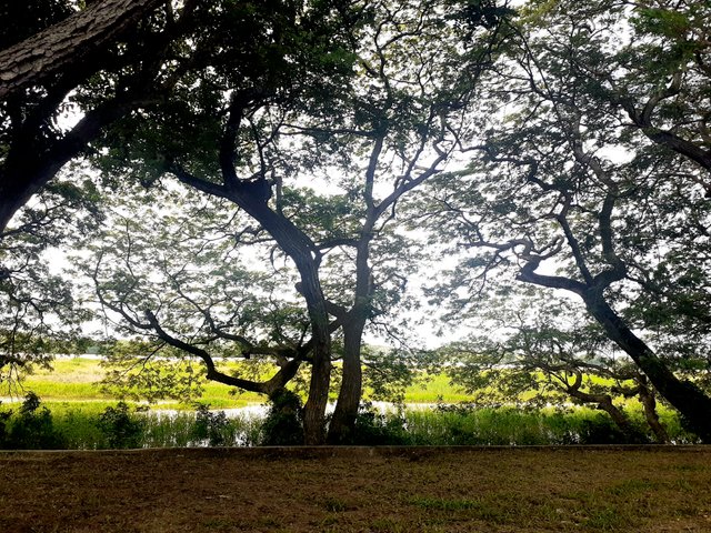 20250614_160330.jpg