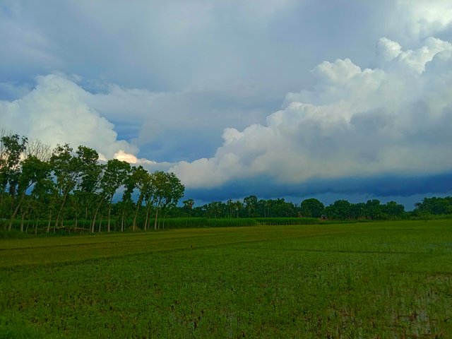 IMG_20250617_213236.jpg