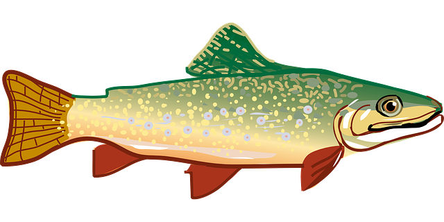 trout-294469_640.png