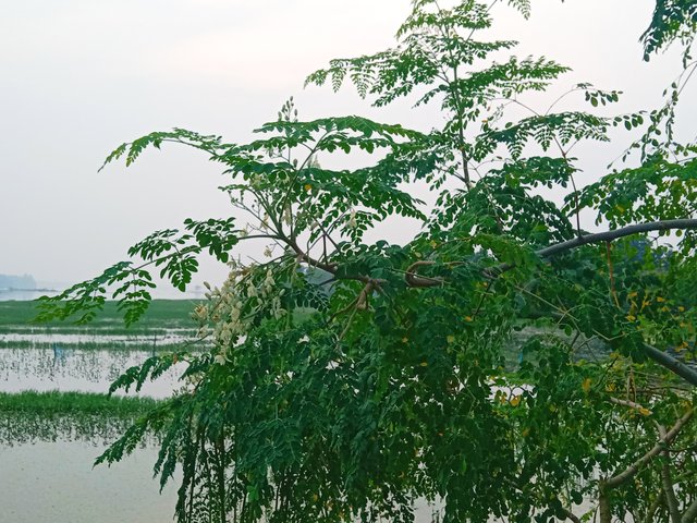 IMG_20250920_202830.jpg