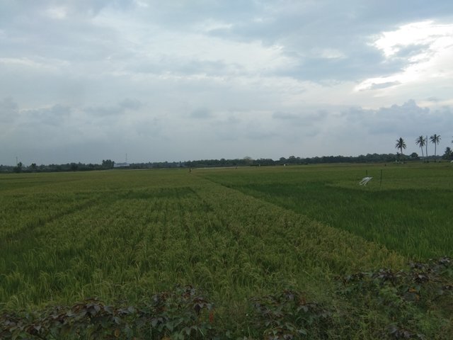 IMG_20250307_173612.jpg