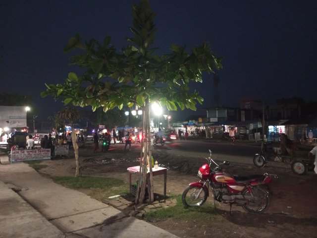 IMG_20241010_181228_409.jpg
