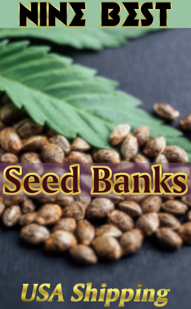 9-best-seed-banks-usa.jpg