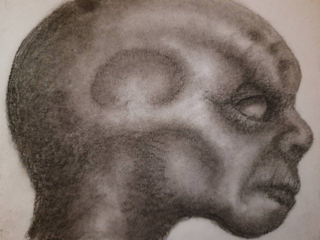 20250430_110507.jpg