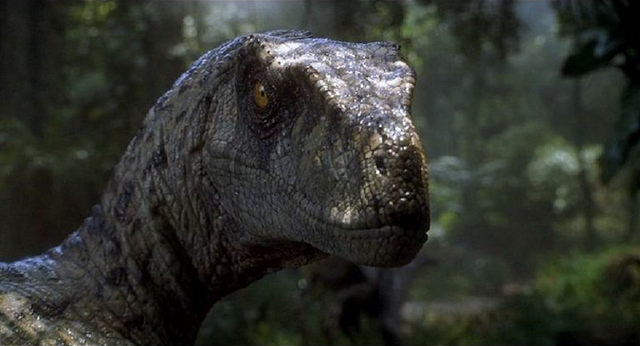 jurassic-park-velociraptor.png