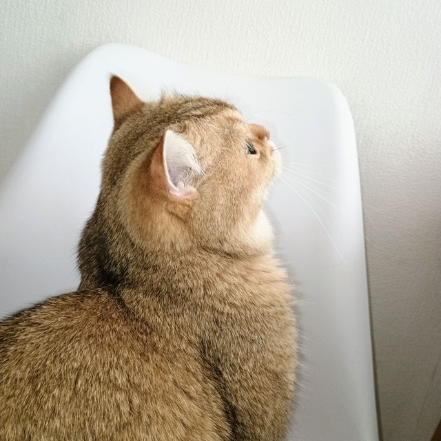 1000001469.jpg