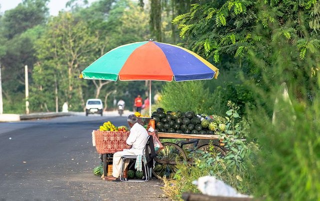 roadside-hawker-6468340__480.jpg