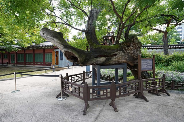 b-DSC00814.JPG