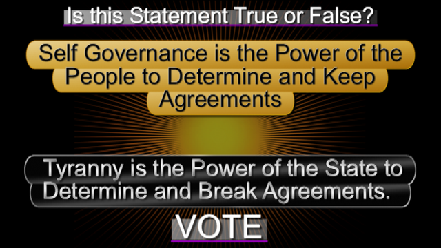 nso-governance-tyranny-principle-vote- 2.png