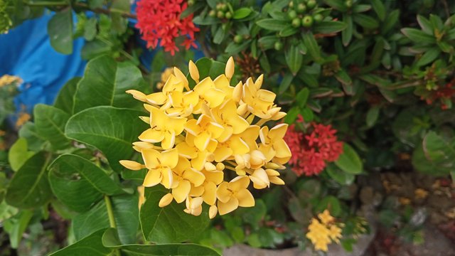 IMG20250520105334.jpg