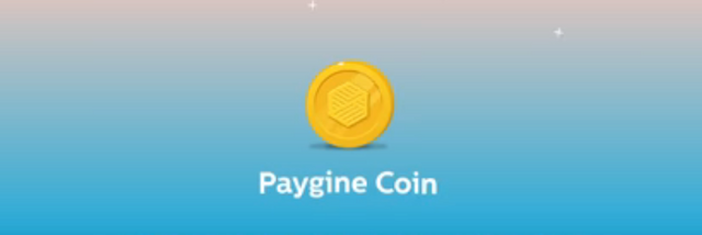 Paygine.png