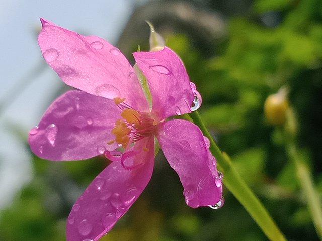 IMG20250711131913.jpg