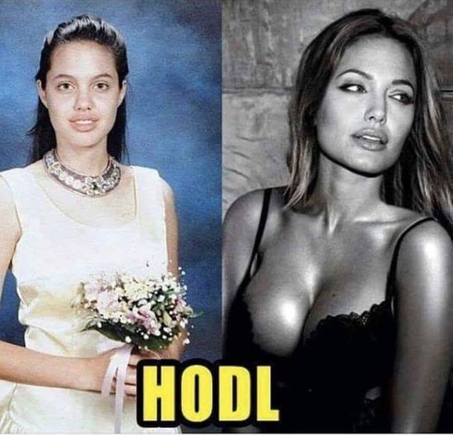 HODL.jpg