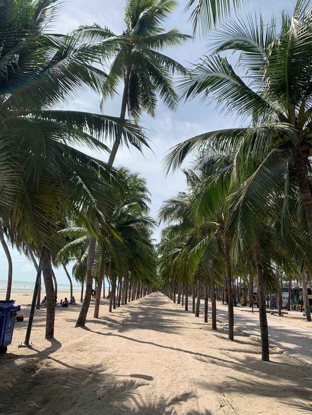 Bang Saen Beach14.jpg