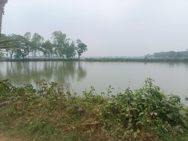 IMG20250420121027.jpg