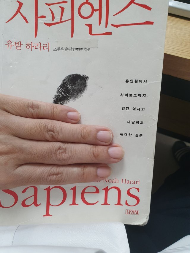 사피엔스.jpg